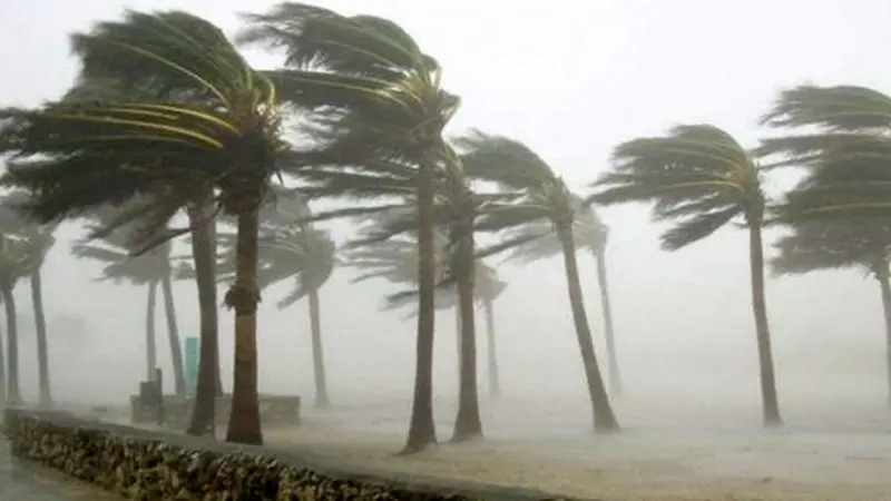 সন্ধ্যার মধ্যে দেশের তিন জেলায় ৬০ কিলোমিটার বেগে ঝড়